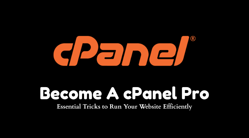 cPanel hosting price